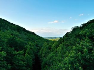 Clarks Springs Hollow Rd LOT WP01, Jonesborough, TN 37659