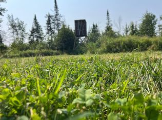 Saindon Rd, Tomahawk, WI 54487