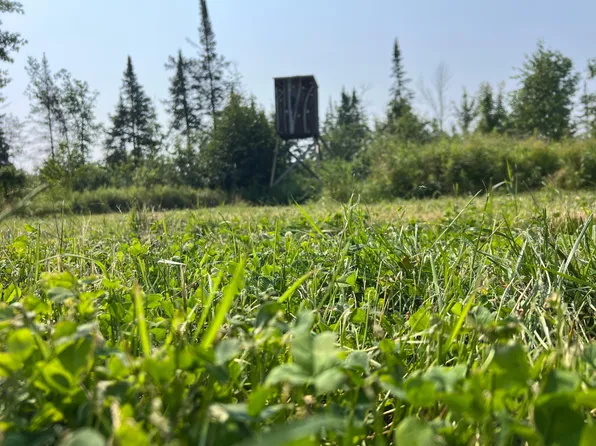 Saindon Rd, Tomahawk, WI 54487