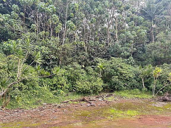 3rd image of Pahoa Village Rd