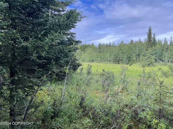 33340 Cantvanda Ct, Soldotna, AK 99669