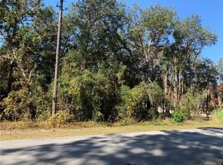 1114 N Rabeck Ave, Lecanto, FL 34461