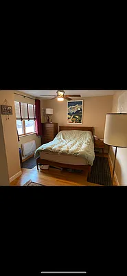 Rented by Think Properties | media 14