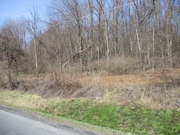 188 W Orchard Hill Rd, Elmira, NY 14903