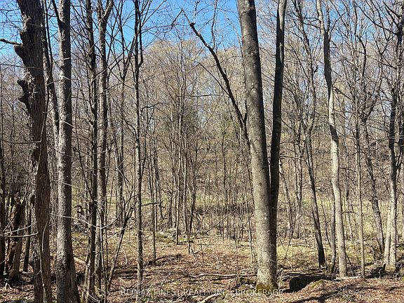 4th image of LOT 1 Sweetfern Ln