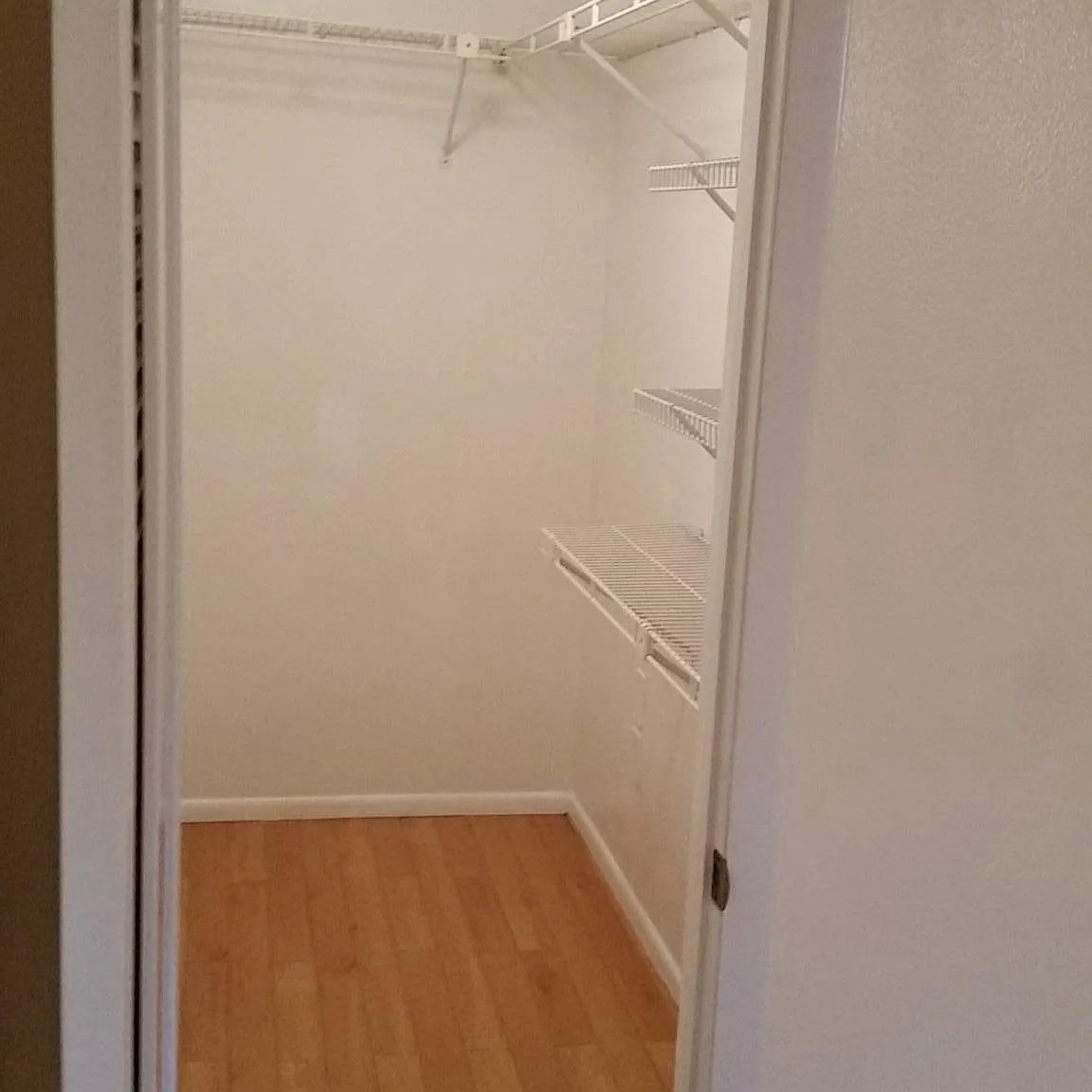 2 bed, 960 sqft, $1,600 — Photo 4