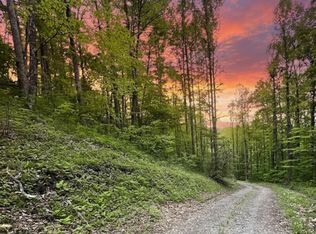 0 Bear Track Run, Bryson City, NC 28713