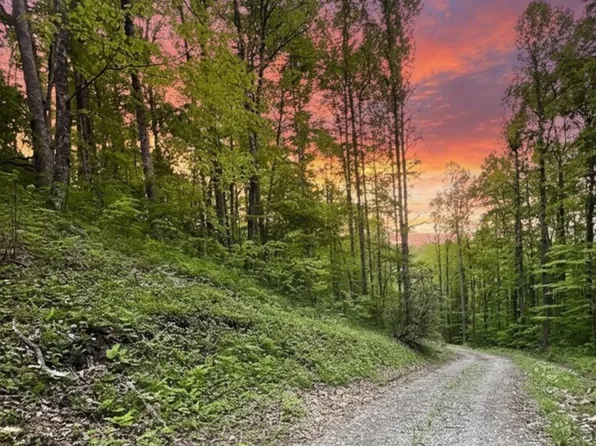 0 Bear Track Run, Bryson City, NC 28713