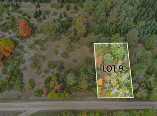 Trout Creek Rd, Cheboygan, MI 49721