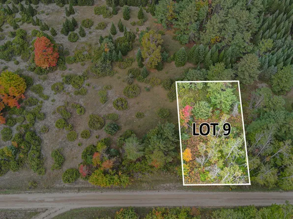 Trout Creek Rd, Cheboygan, MI 49721