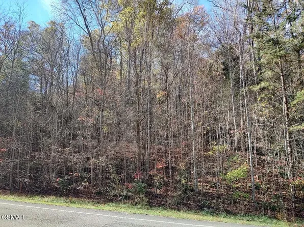 0 Carson Springs Rd Lot 63, Newport, TN 37821