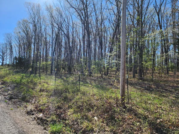 Tract C Bruchsy Creek Road, Houston, MO 65483