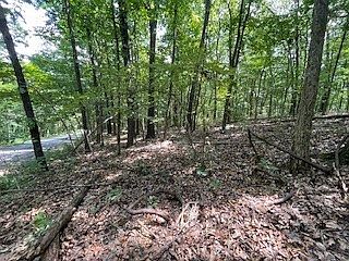 2nd image of 7 Chelmsworth Cir