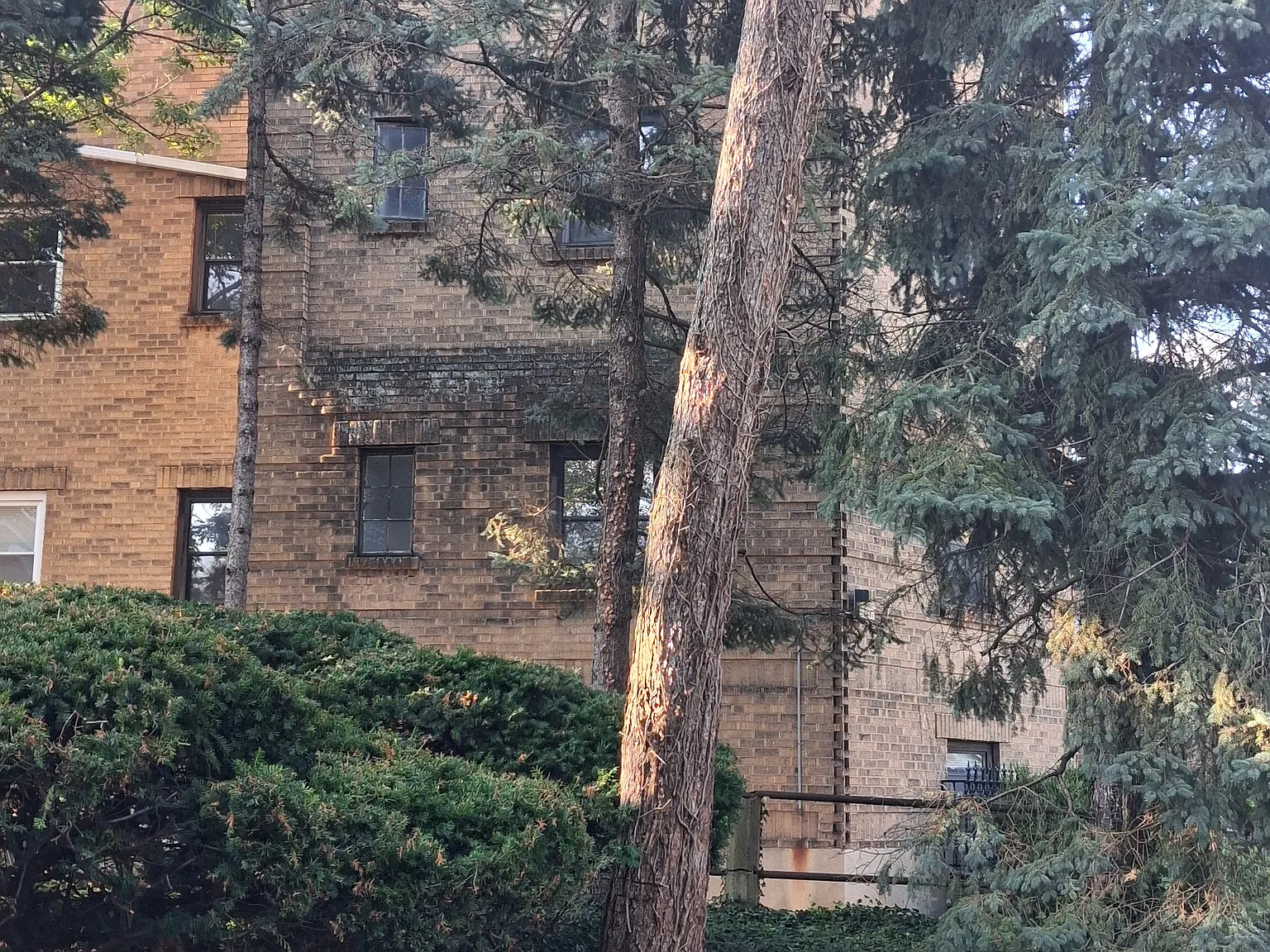 1 bed, 610 sqft, $900 — Photo 1