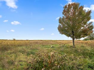 166 Prairie Turn Rd, Cabery, IL 60919