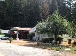 51780 Dexter St, Blue River, OR 97413