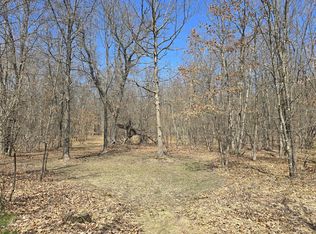 W Seven Mile Rd, Irons, MI 49644