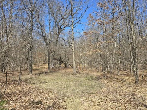 W Seven Mile Rd, Irons, MI 49644