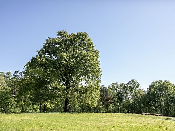 2nd image of 0 Pinewood Rd Lot 203