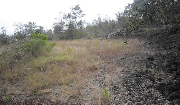 3rd image of 92-9109 Lotus Blossom Ln Lot 26