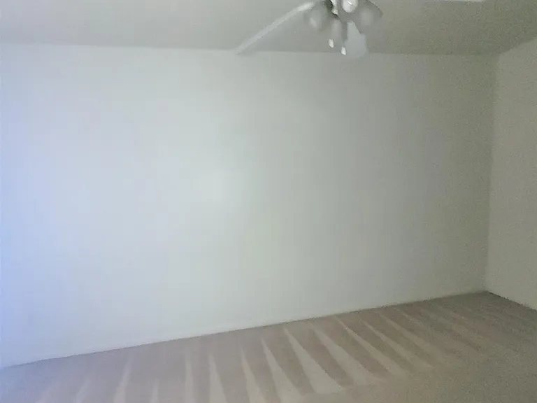 501 Bermuda #D — Photo 3