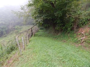 0 Henry Rd, Sylva, NC 28779