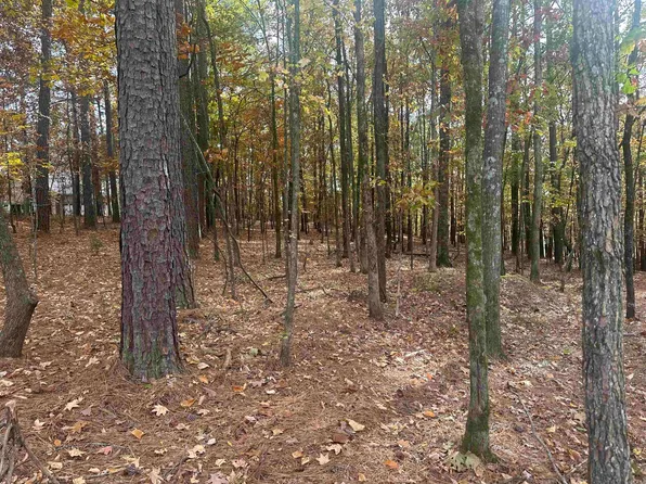 8 Ideal Ln, Hot Springs Village, AR 71909