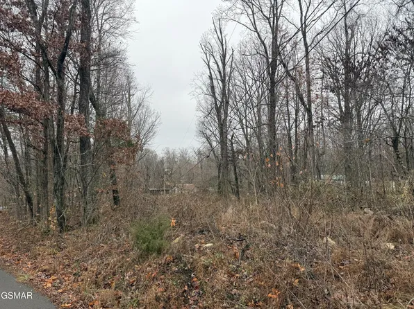 0 Collier Loop Lot 0, Dandridge, TN 37725