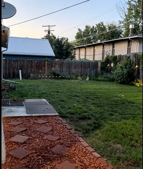 Backyard