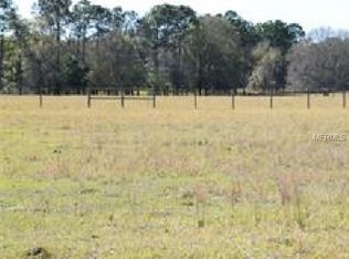 15102 Patterson Rd, Odessa, FL 33556