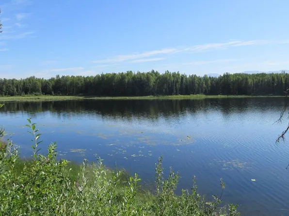 18302 E Future Rd, Talkeetna, AK 99676