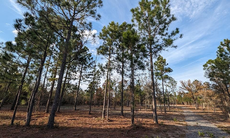 0 Moores Chapel Rd, Mauk, GA 31058 Zillow