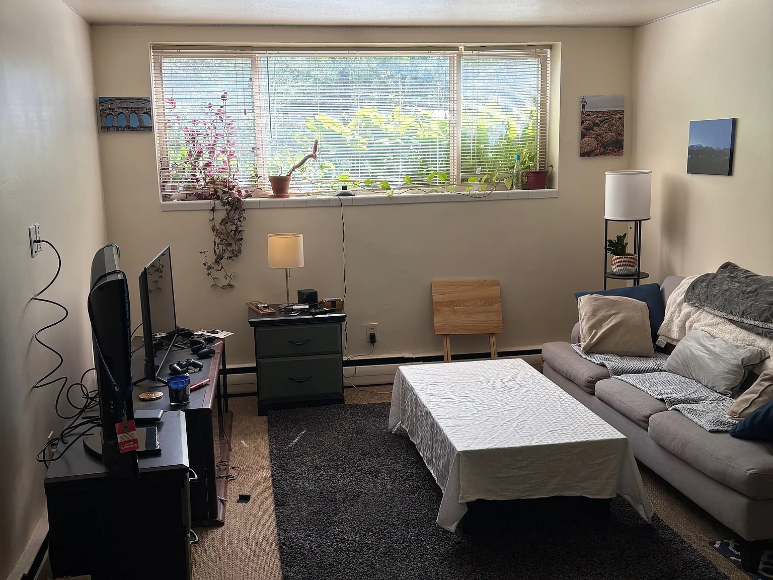 1 bed, 700 sqft, $1,100 — Photo 3