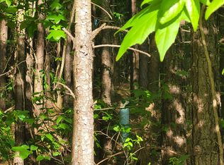 7134 Browns Mill Rd, Lithonia, GA 30038