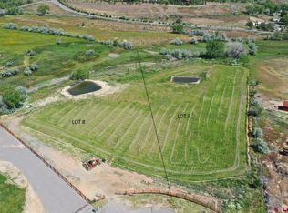 Tbd Mallard Ln, Montrose, CO 81403