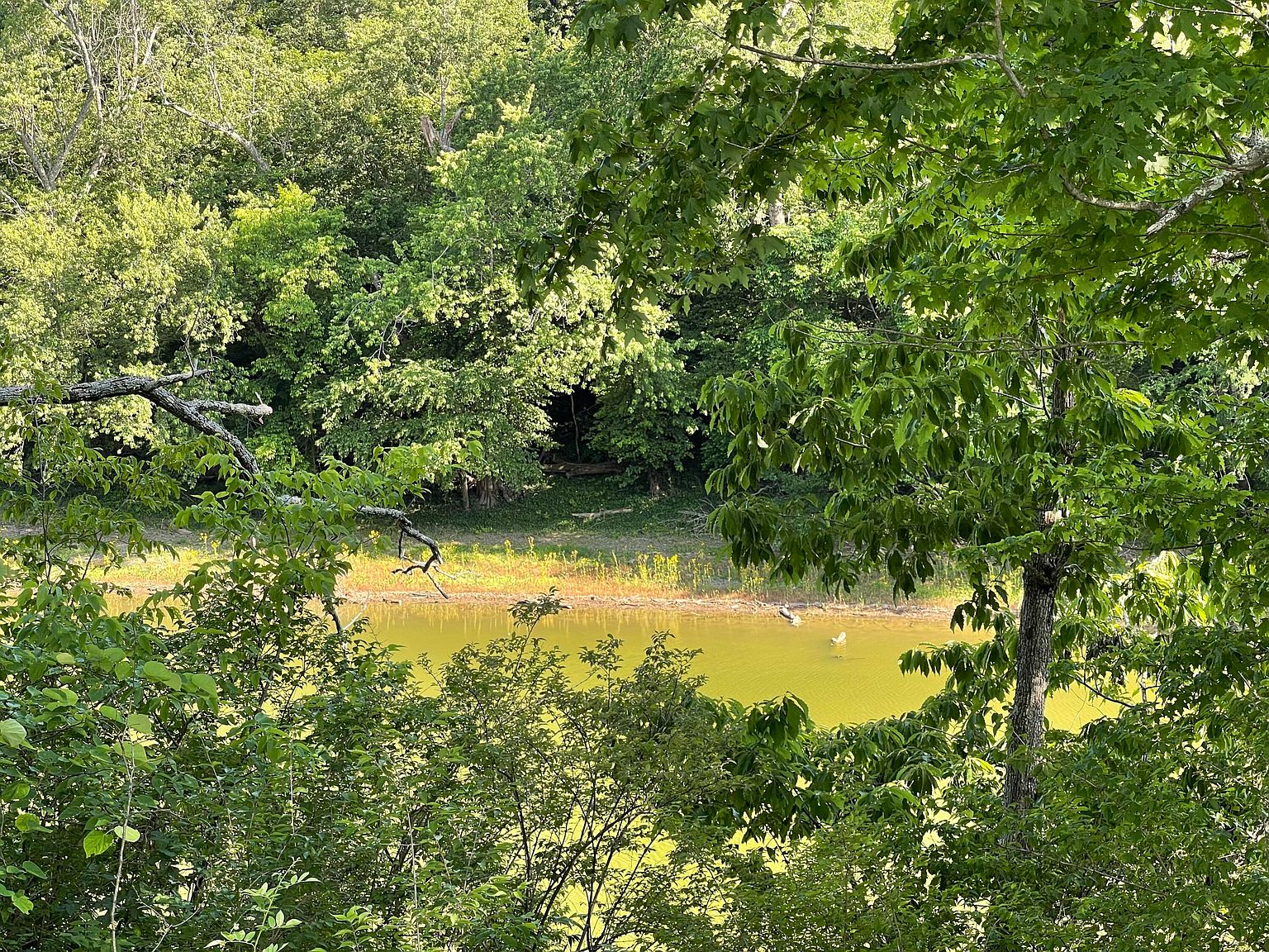 1807 Herrington Hls, Lancaster, KY 40444 Zillow