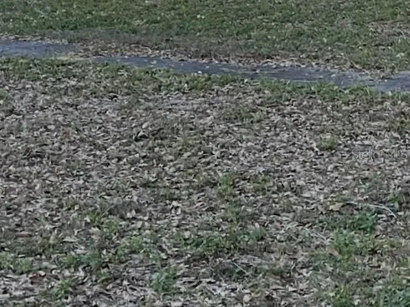 Gadsen Rd Lot 19, Winter Haven, FL 33884