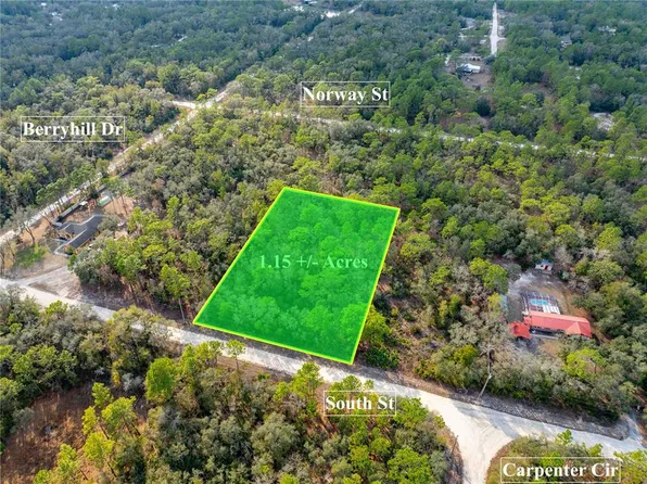 7075 South St, Webster, FL 33597