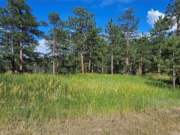 27903 Pine Drive, Evergreen, CO 80439