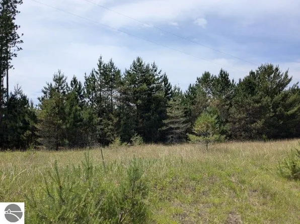 Curtis Rd, Hale, MI 48739