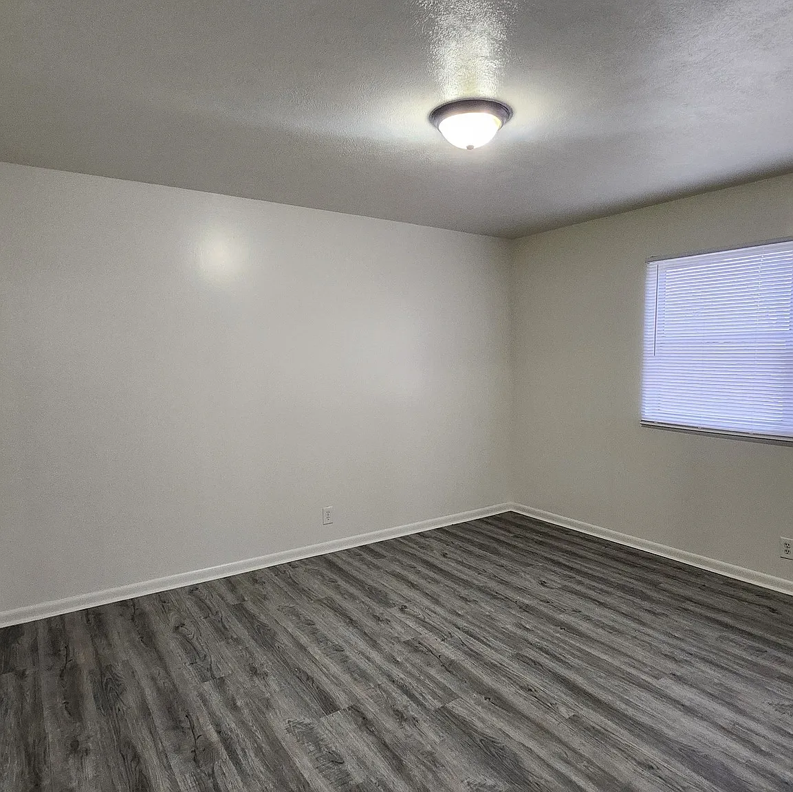2 bed, $900 — Photo 4