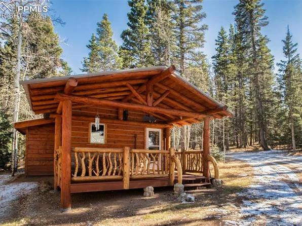 55 Worley Rd, Divide, CO 80814