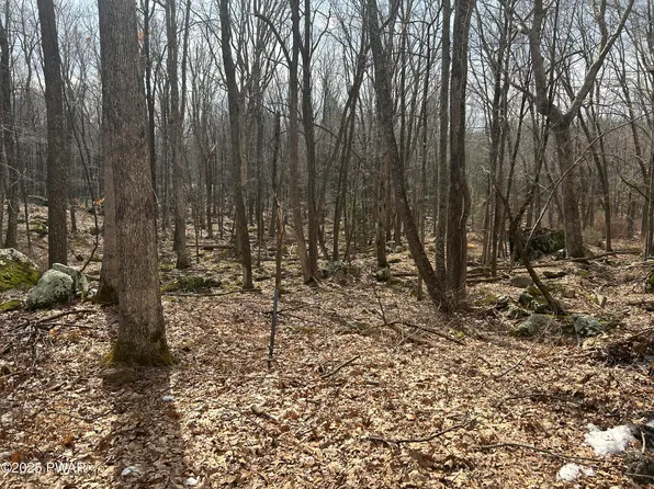 803 & 805 Conastoga Ct, Hawley, PA 18428