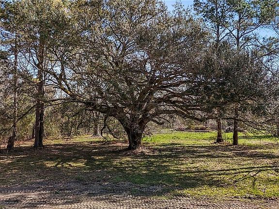 3rd image of 13168 Joor Rd