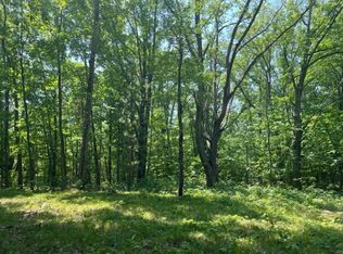 8528 E Barx Rd, Chase, MI 49623