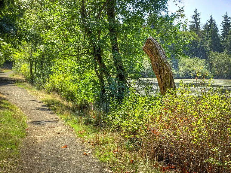 Delta Grove — Photo 13