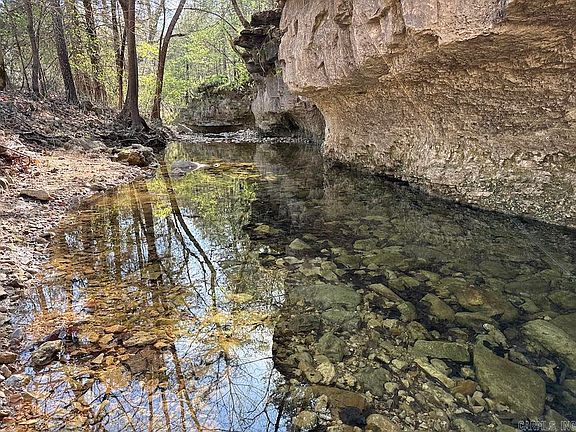 5th image of 13949 Bear Creek Dr