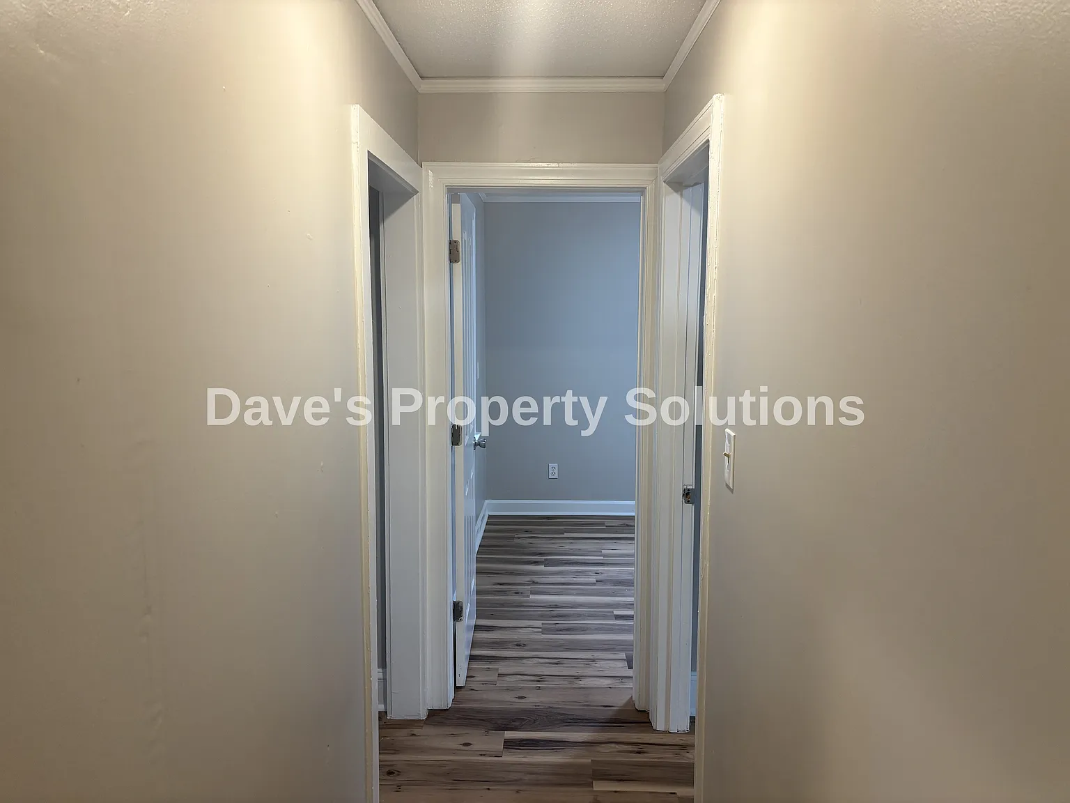 3 bed, 980 sqft, $1,250 — Photo 2