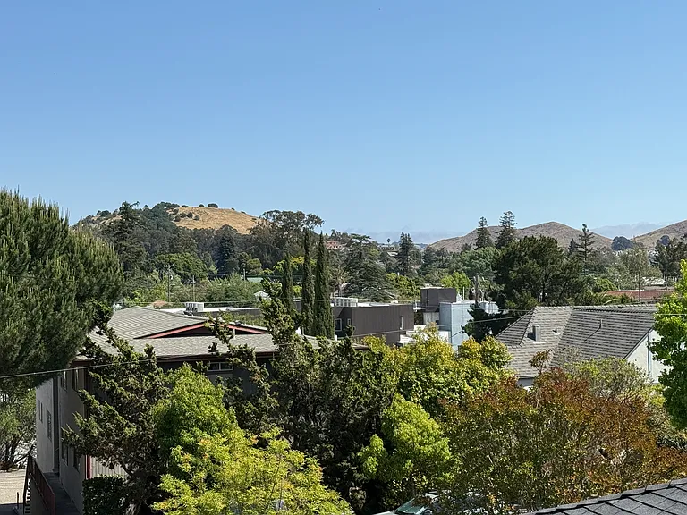 1334 Palm St #10 — Photo 15