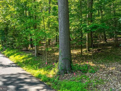 0 Lower Mountain Rd, New Hope, PA, 18938